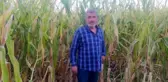 Çiftçiye domuzların ardından bir darbe de sigorta firmasından geldi