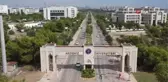 Türkiye'nin ikinci rahim nakli hastası Havva Erdem'in kız bebeği oldu