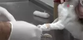 Başkan Aktaş: 