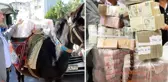 Görüntü Türkiye'den! Çuvallar dolusu parayı katır sırtında getirip belediye başkanına teslim etti