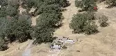 650 yıllık tarihi caminin yanında bulunan mezarlıktaki asırlık ağaçlar koruma altına alınmayı bekliyor