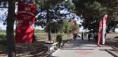 Edirne haberleri: Edirne kırmızısının elde edildiği bitki hasat edildi