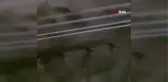 Son dakika haber... Meksika'da 3 katlı bina çöktü: 1 yaralıBinada yaşayan 40 kişi son anda tahliye edildi
