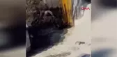 2 TIR VE HAFİF TİCARİ ARAÇ ÇARPIŞTI; 3 ÖLDÜ, 2 YARALI