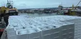 Batı Karadeniz'de palamut bolluğu devam ediyor