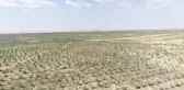 Çin'in Kuzeyinde Çölün Kenarında Bulunan Yeşil Kuşak, Çiftçilere ve Çobanlara Fayda Sağlıyor