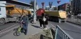AREL ÜNİVERSİTESİ ÖĞRENCİSİ İŞ MAKİNELERİ DERS SIRASINDA ÜÇ KEZ TEĞET GEÇTİ