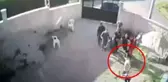 Aynı aileden 7 kişinin öldürüldüğü olay öncesi yaşanan kavgaya ilişkin 9 sanığa hapis cezası verildi