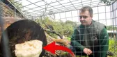 Bu mantar diğerlerinden çok farklı! Özel kafeste tutuluyor, dokunana hapis cezası var