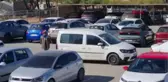 TAVUKLARINA SALDIRAN KÖPEKLERİ ZEHİRLEYEREK ÖLDÜRDÜ, SERBEST KALDI