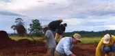 Çalışkanlıklarıyla ünlü karıncaların yuvası kazıldı, ortaya çıkan manzara muazzam