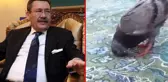 Melih Gökçek, Kabe'de güvercinin secde ettiği iddia edilen videoyu gerçekmiş gibi paylaştı