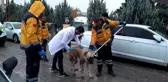 Kuduz vakası yüzünden alarma geçen Adıyaman'da aşılama çalışmaları başladı