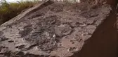 Çin'in Güneydoğusunda, Nadir Görülen Fosilleşmiş Dinozor Ayak İzleri Bulundu
