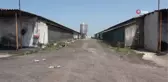 Tavuk çiftliğindeki vahşet için müebbet istediler