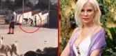 Ömür Gedik, Konya'daki köpek katliamı için avukatlara seslendi: Meslekten olma pahasına şüpheliler için ceza isteyin