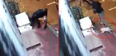 Görüntü İstanbul'dan! Uyuyan kediyi yumruklayıp, kedi evini parçaladı