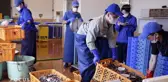Fukuşima halkı nükleer felaketten 11 yıl sonra seferberlik halinde