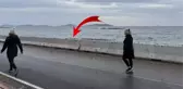 İstanbul'u lodos vurdu! Caddebostan sahili kırmızı yosunlarla kaplandı
