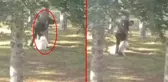 Köpeğe sopalı, yumruklu işkence! Hemen gözaltına alındı