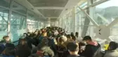 Yılbaşında beklenen zam öncesi Türkiye'den Gürcistan'a akın var! Fazla para ödemek istemeyenler kuyruk oldu
