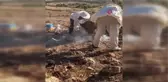 Ağaç kovuğunda yuva yapan arılar ve bal özenle çıkartıldı