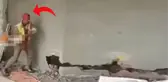 Müteahhit inşatta işçiye bağırdı, saniyeler sonra yaşananlar herkesi çığlık çığlığa bıraktı