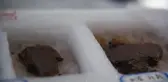 Çin'in Doğusunda Tarih Öncesi Kalıntılar Bulundu