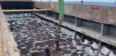 İskenderun Limanı'ndaki gemide tehlikeli atıkların ülkeye girişi engellendi