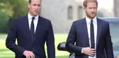 Prens Harry: 'William ona vurmam için beni tahrik etti'