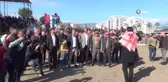 Develer güreşti, sahipleri kavga etti
