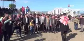 Develer güreşti, sahipleri kavga etti