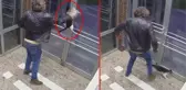 Küçükçekmece'deki kedi düşmanı yine sahnede! Dakikalarca tekme ve yumrukla darbetti