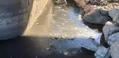 Bakan Kurum'dan Ceyhan Nehri Kirliliği Yanıtı: 