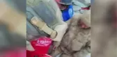 129'UNCU SAATTE ENKAZDAN SAĞ ÇIKARILDI