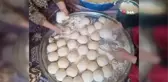 Ercişli kadınlar depremzedeler için kolları sıvadılar