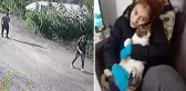 Kafasına taşla vurup cinsel istismarda bulunmuştu! Ayşegül'ü vahşice katleden yabancı uyruklu şahsa ağırlaştırılmış müebbet
