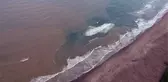 Şaşırtan görüntü! Karadeniz çamura büründü