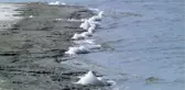 Görenleri endişelendiren manzara: Burdur Gölü köpürdü