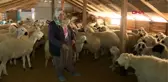 BORÇLA ALDIKLARI EVLERİ YIKILINCA, AHIRI EV YAPTILAR