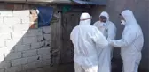 Vahim iddia! Afyonkarahisar ve Denizli'de kuş gribi nedeniyle 6.5 milyon kanatlı hayvan itlaf edildi