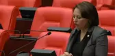 Müzeyyen Şevkin: Deprem Destek Kredisinin Herkese Eşit Olarak Uygulanması ve Kamu Bankalarının Buna Göre Düzenleme Yapması Şarttır