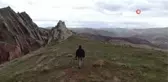 Doğada nadir görülen yaban keçilerini sürü olarak görüntüledi