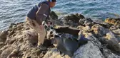 Kuşadası'nda kıyıya baş, kol ve bacakları olmayan 2 erkek cesedi vurdu! Ekipler tek ihtimal üzerinde duruyor