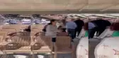 Hatay'da Paskalya Ayini, Depremde Yıkılan Kilisenin Önünde Yapıldı