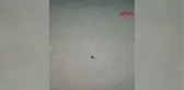 KOCAELİ'DE HAMAM BÖCEĞİ İSTİLASI