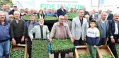 Gaziantep'te çiftçilere 2 milyon adet fide desteği