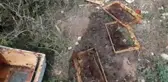 Aç kalan ayı, kovanları parçaladı