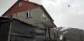 Gümüşhane'de ayılar yayla evlerine dadandı