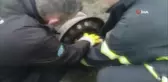 Kafası otomobil jantına sıkışan köpek böyle kurtarıldı